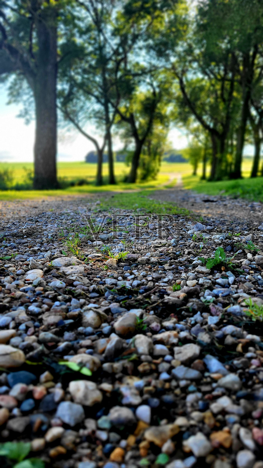 乡村生活照片摄影图片