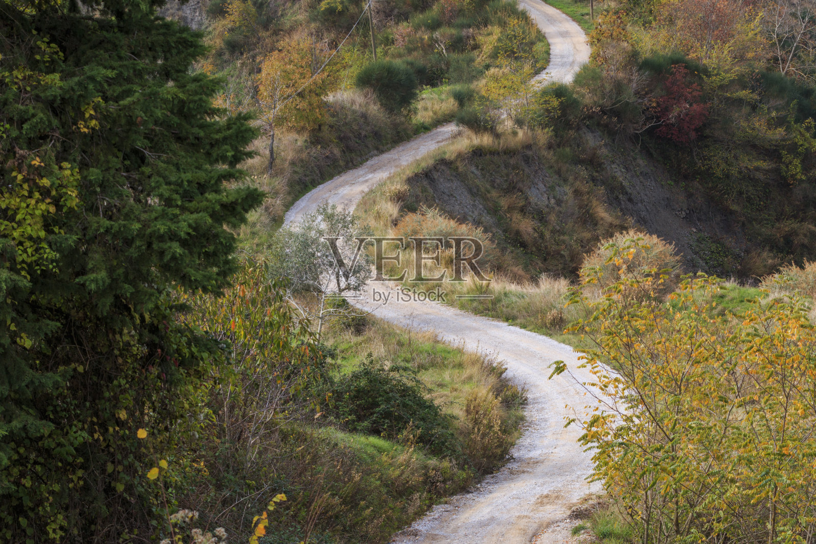 意大利。托斯卡纳，狭窄蜿蜒的道路。照片摄影图片