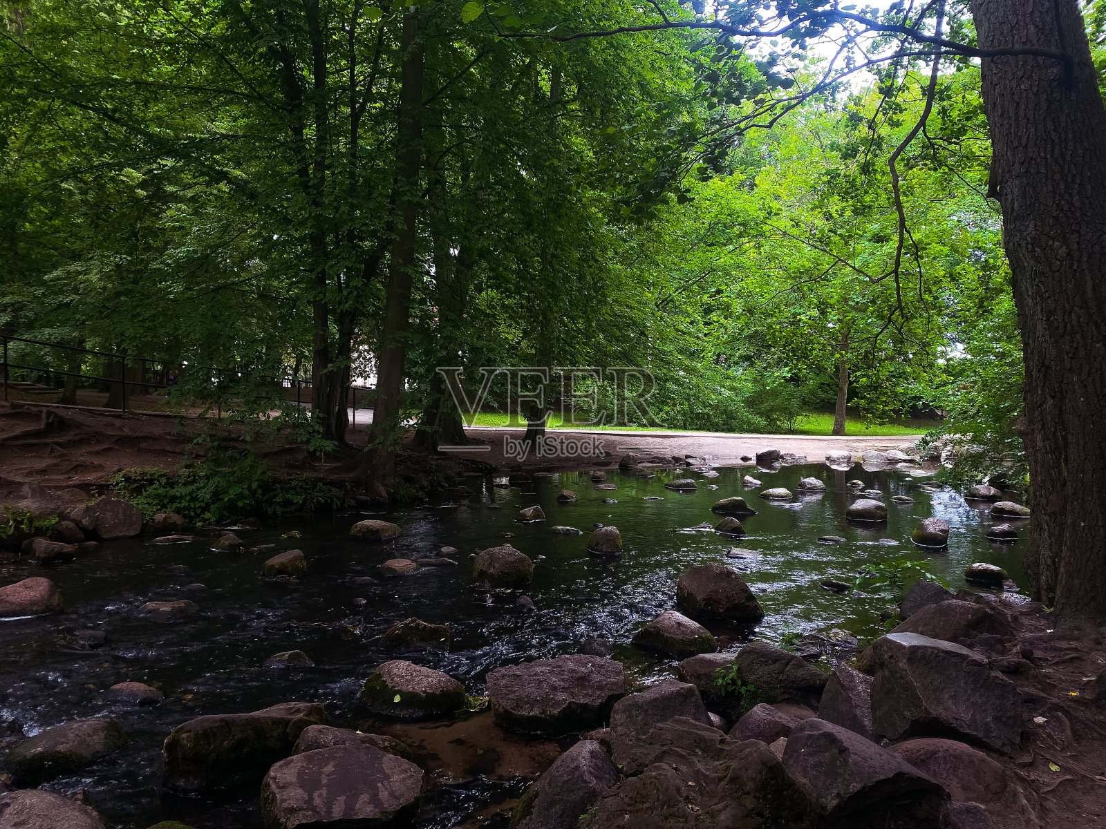 公园照片摄影图片