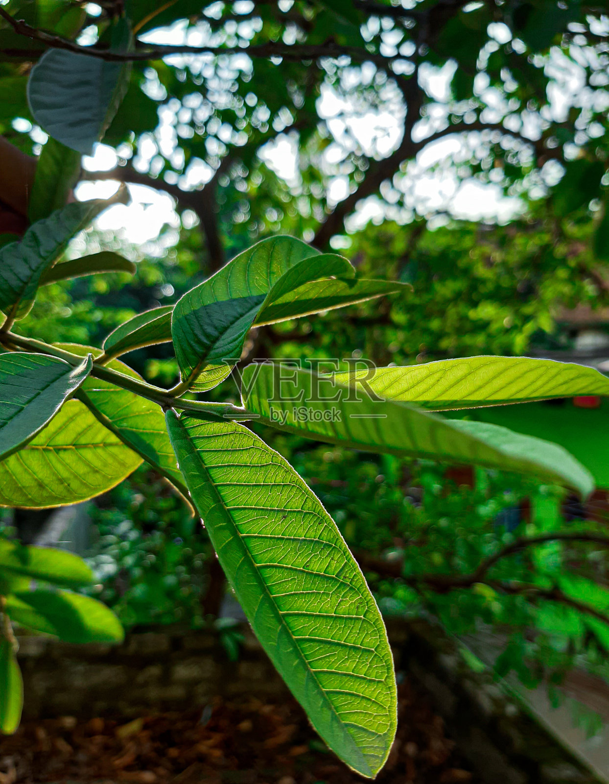 世界厨房照片摄影图片