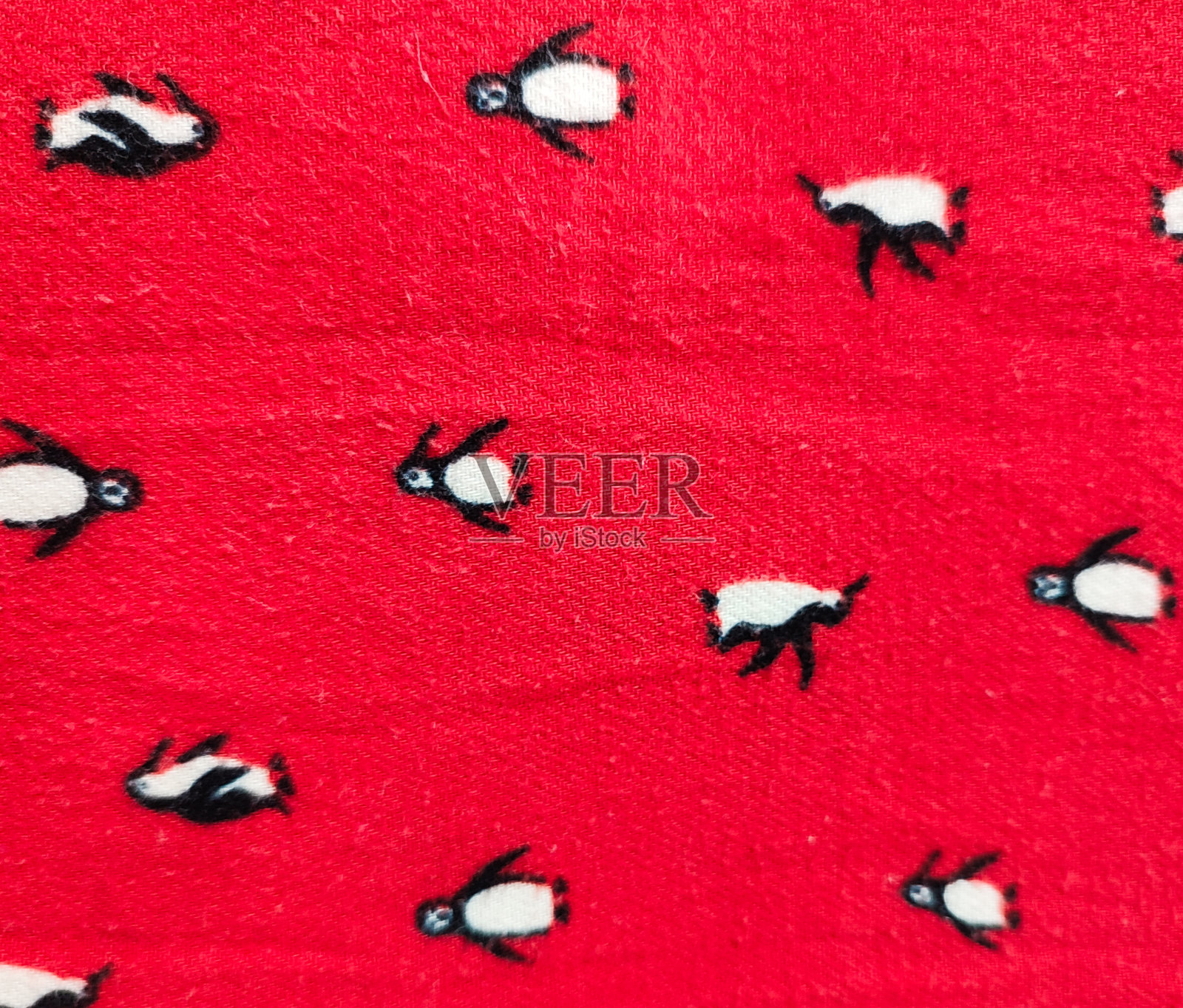 Multicolor-fabric-texture-of-nature (24)照片摄影图片