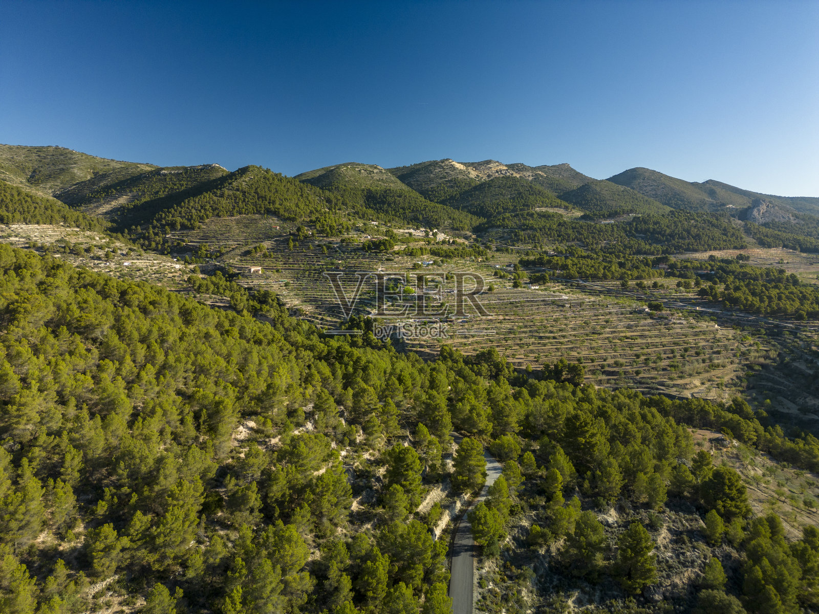 地中海森林的鸟瞰图照片摄影图片