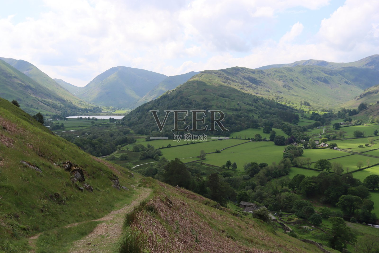 夏季湖区的绿色田野和山丘照片摄影图片