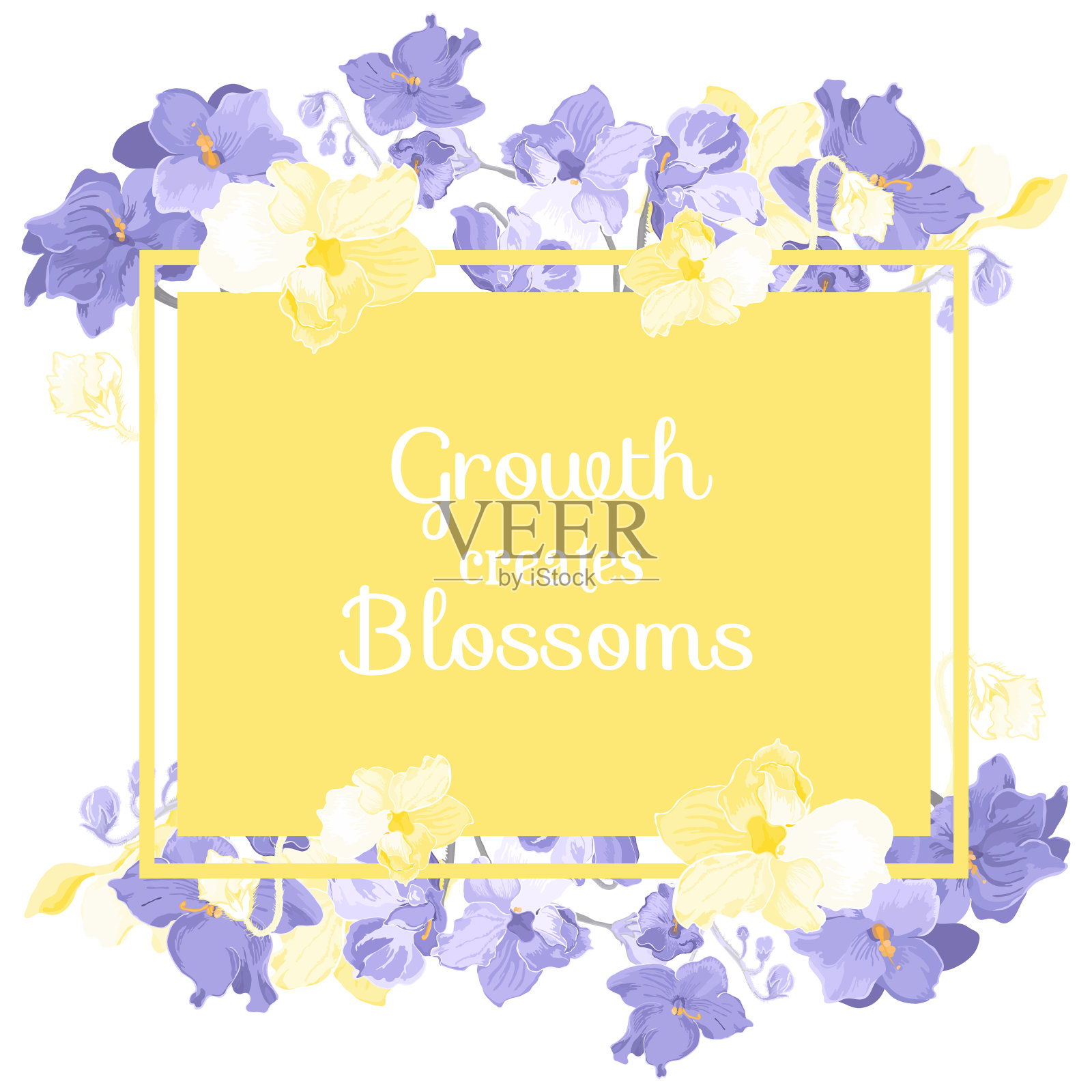 孤立的框架与室内植物盛开插画图片素材