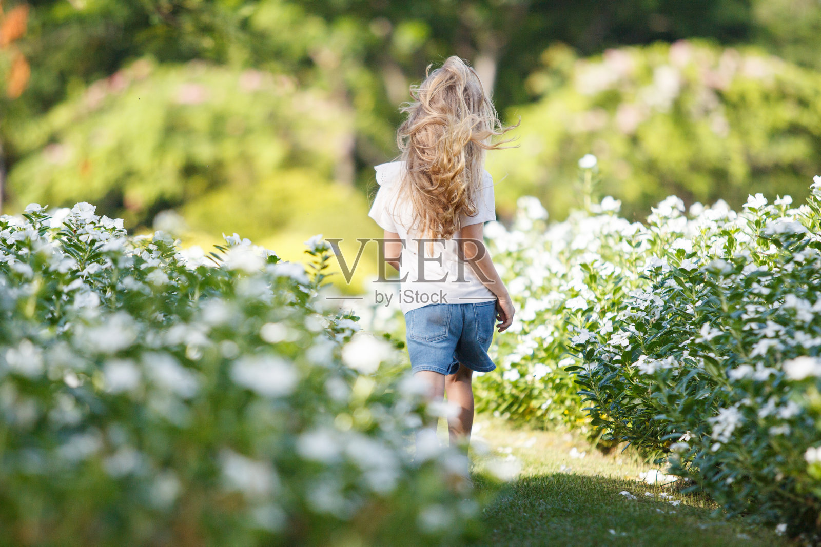 一个白人小女孩早上在公园里玩耍。照片摄影图片