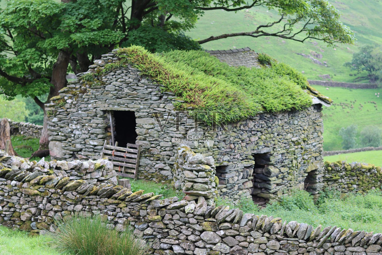 古老的石头谷仓，屋顶长满青苔照片摄影图片