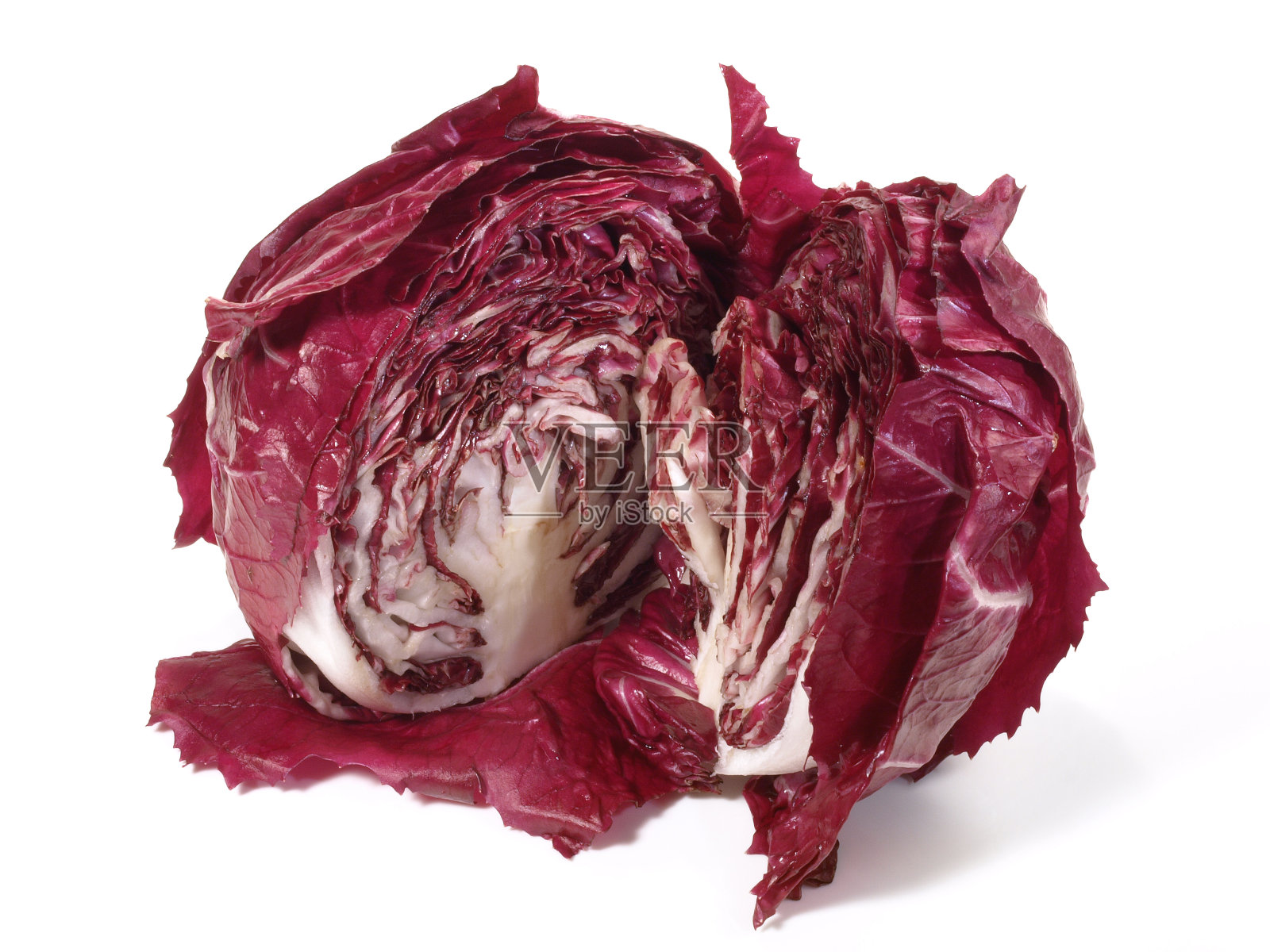 菊苣沙拉在白色隔离照片摄影图片