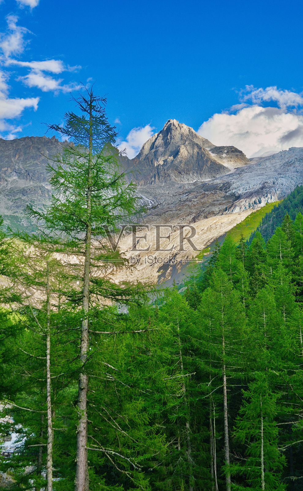 Tall-tall照片摄影图片