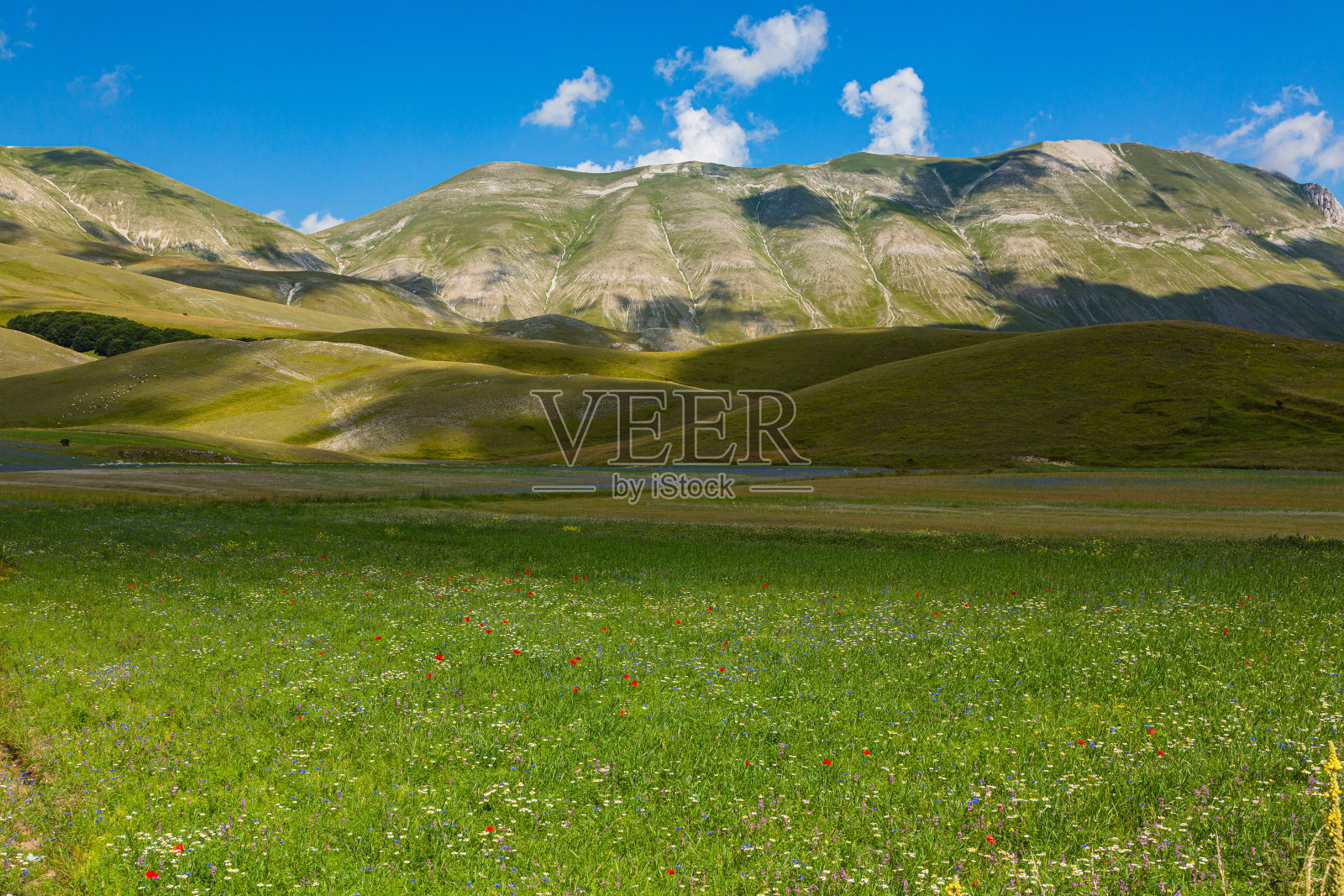 意大利诺尔恰城堡的花田照片摄影图片