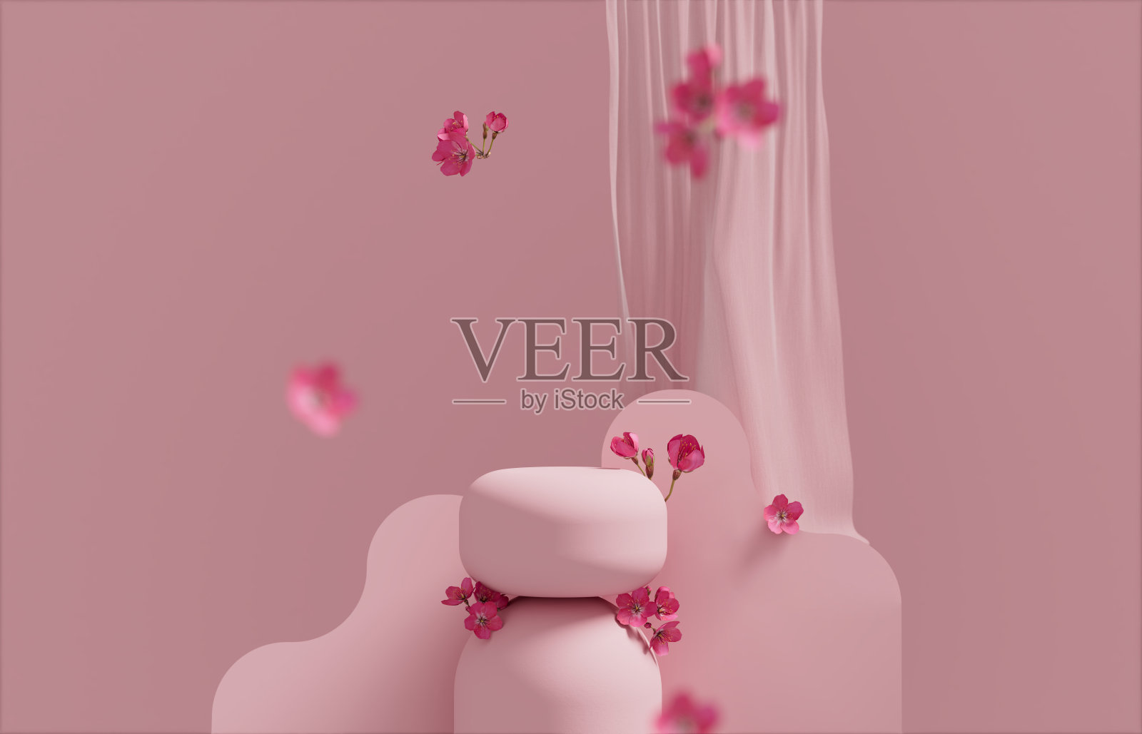 3D背景，粉色讲台显示。粉红色的樱花飘落。花卉化妆品或美容产品推广台阶底座。抽象最小的3D渲染。复制空间弹簧模型。照片摄影图片