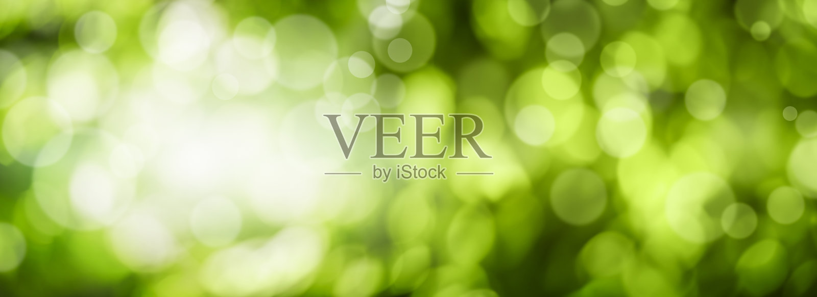 绿色散景对自然抽象模糊背景。横幅照片。照片摄影图片