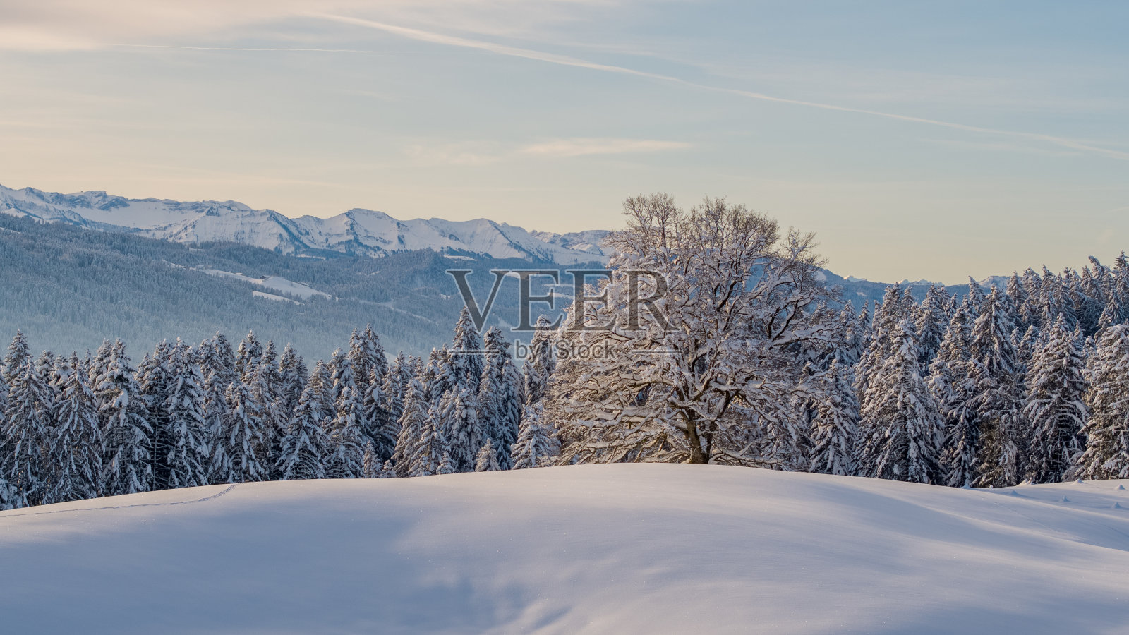 冬季仙境教堂在德国Allgäu在德国阿尔卑斯山照片摄影图片