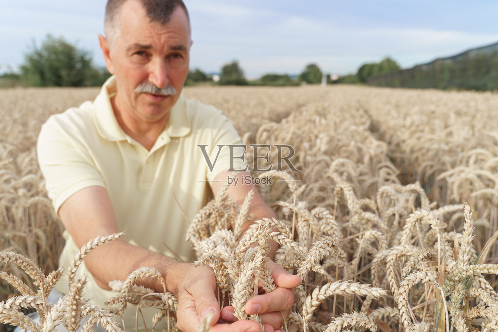 麦田里的农夫照片摄影图片