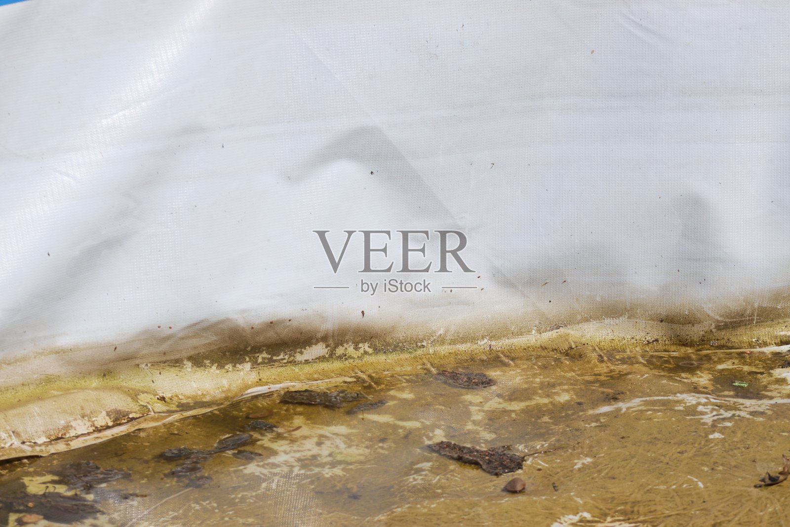 肮脏的池。花园的水池在冬天之前没有清理干净。照片摄影图片