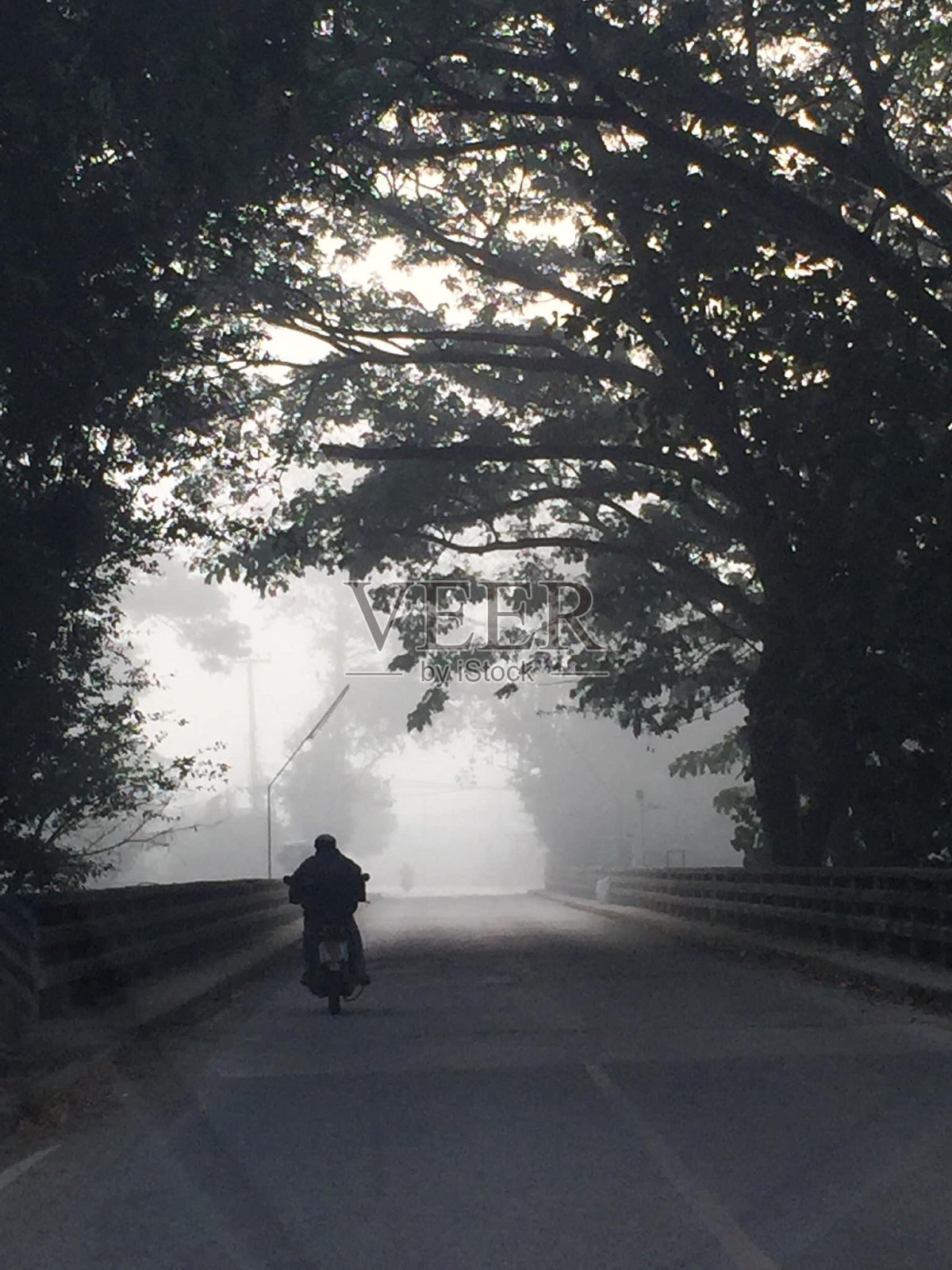 冬天照片摄影图片