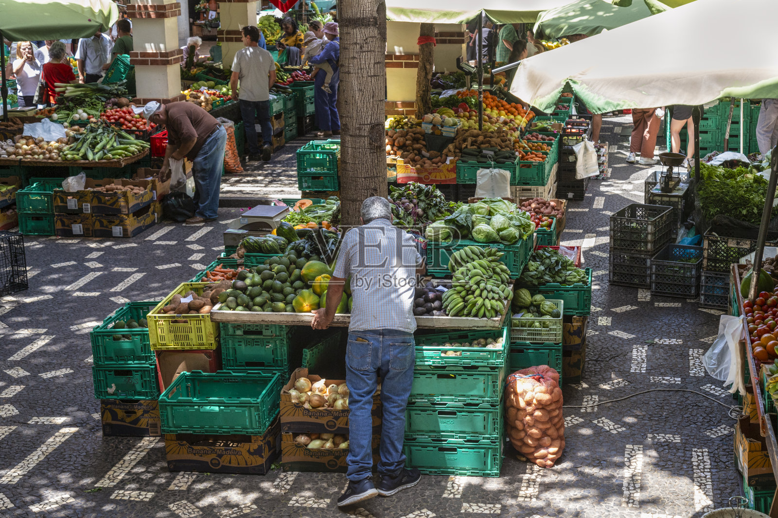 人们在马德拉丰沙尔著名的市场购买新鲜的水果和蔬菜。照片摄影图片