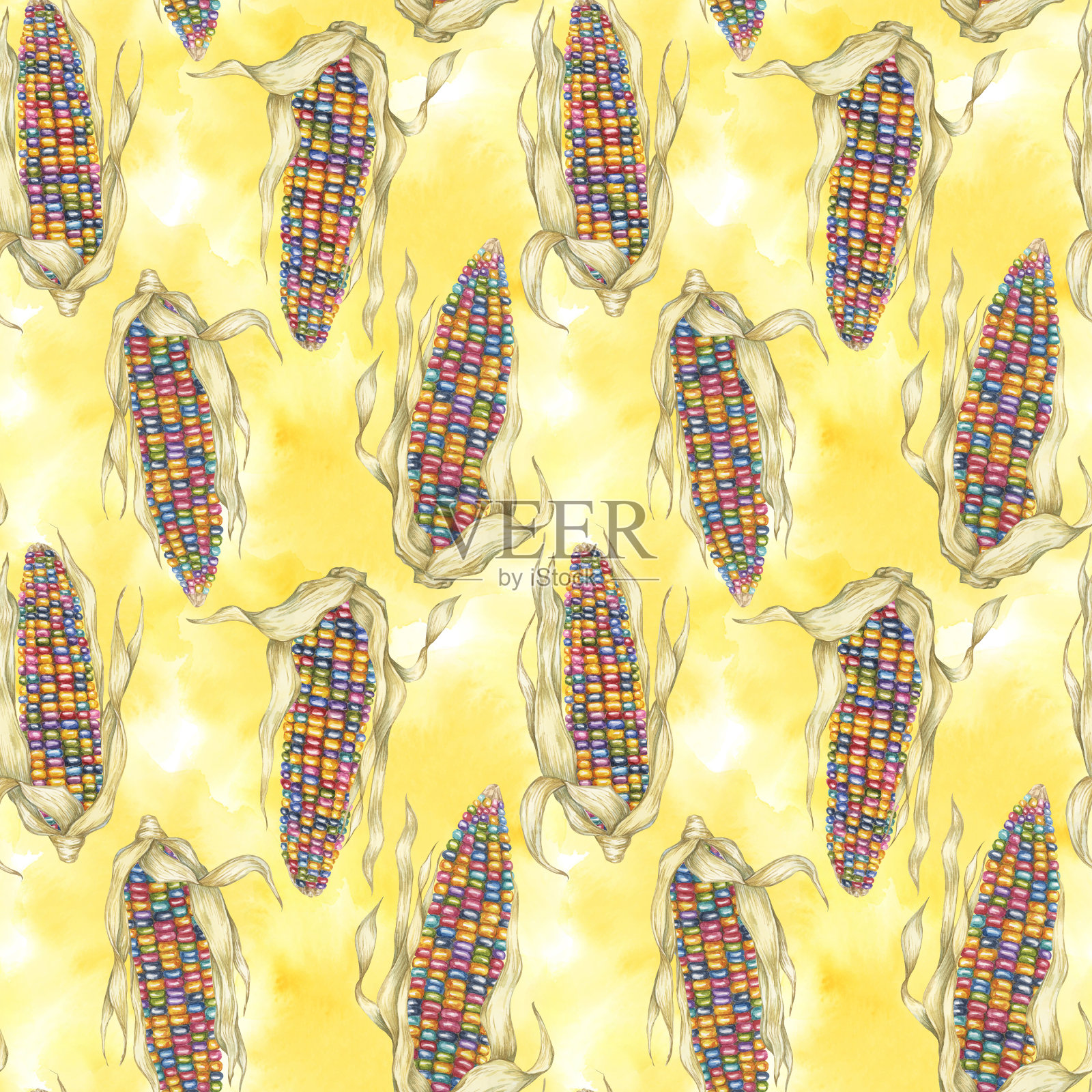 印度传家宝玉米无缝图案，彩虹棒子在抽象飞溅水彩背景。玉米织物印花服装，厨房，壁纸插画图片素材