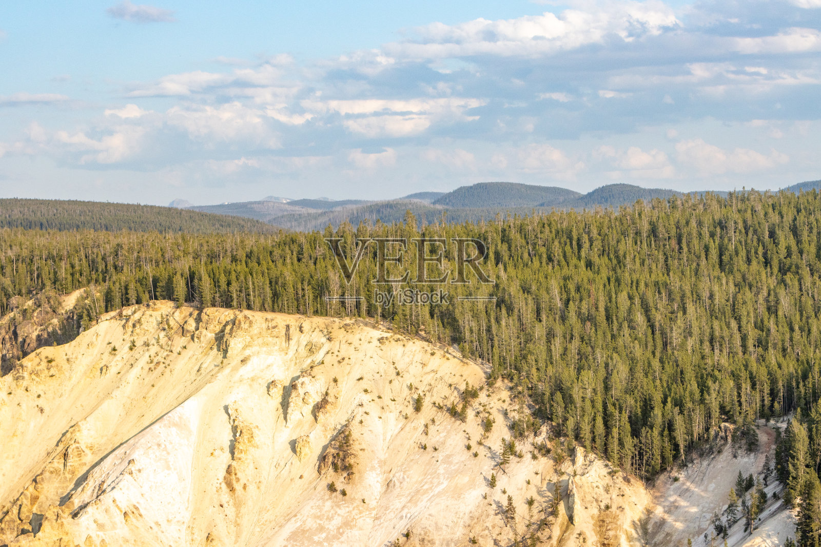 怀俄明州黄石国家公园内的黄石河大峡谷照片摄影图片