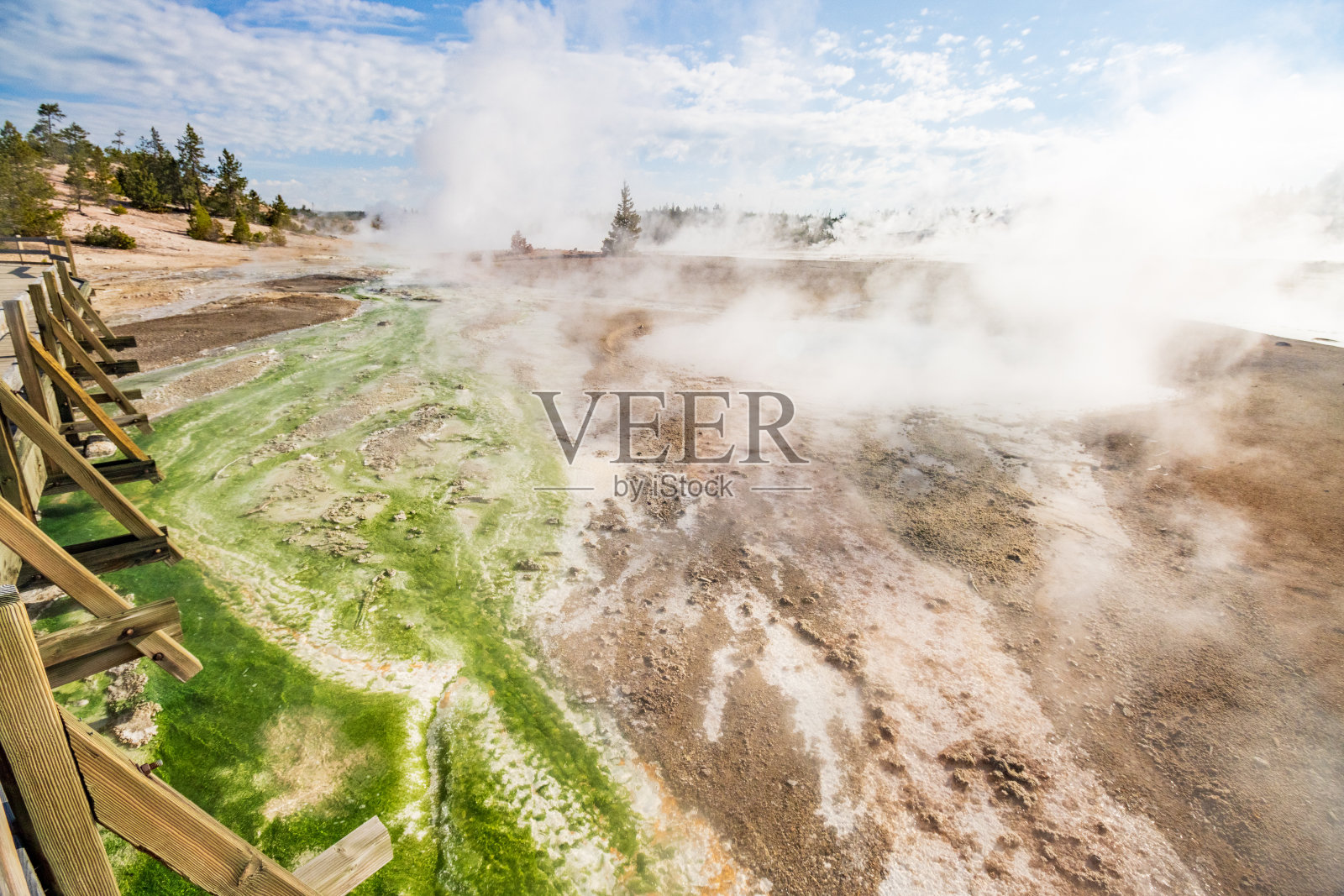 怀俄明州黄石国家公园诺里斯间歇泉盆地瓷盆中的嗜热微生物席照片摄影图片