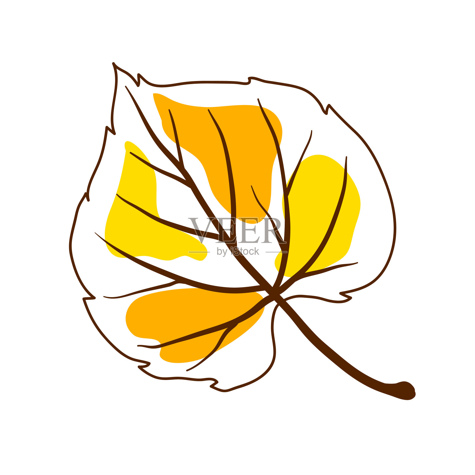 菩提树叶插图。装饰性的秋叶。插画图片素材