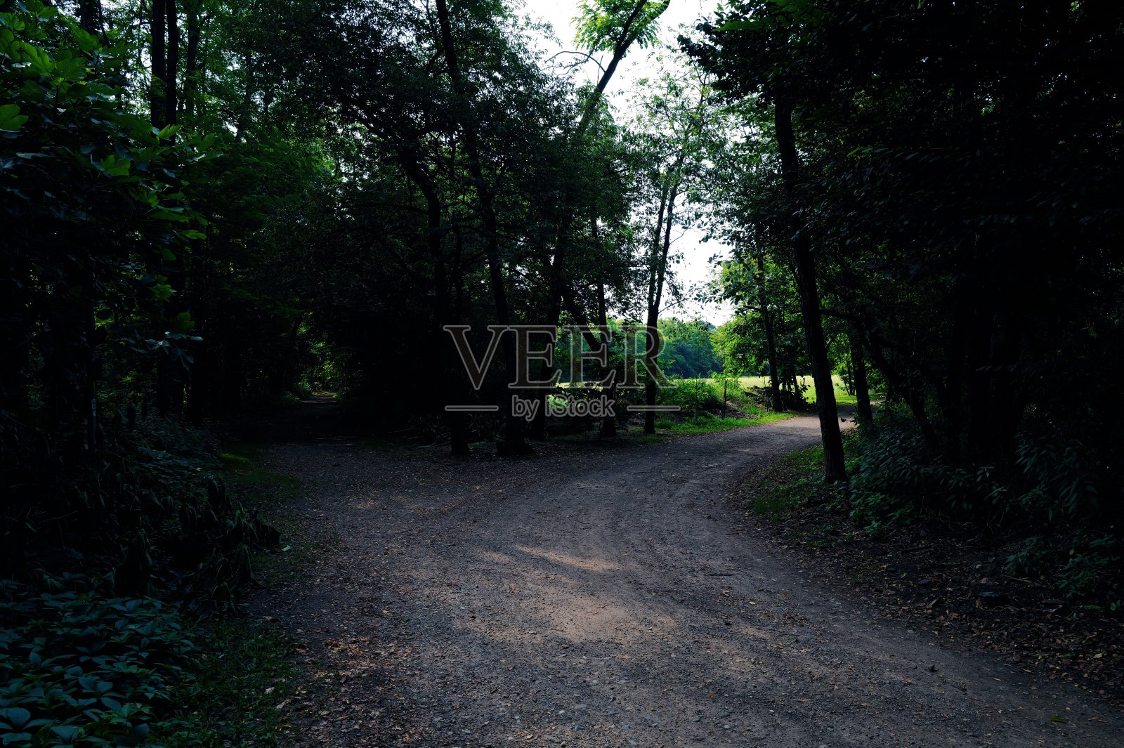 乡间小路照片摄影图片