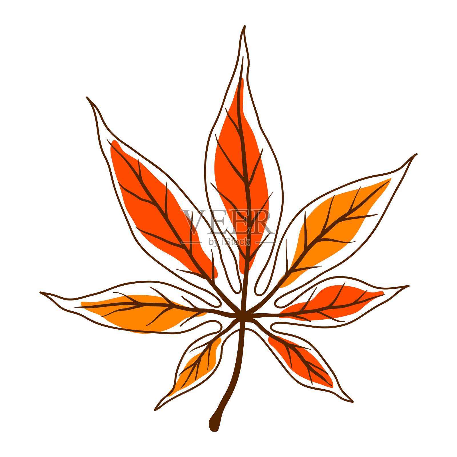 枫叶插图。装饰性的秋叶。插画图片素材