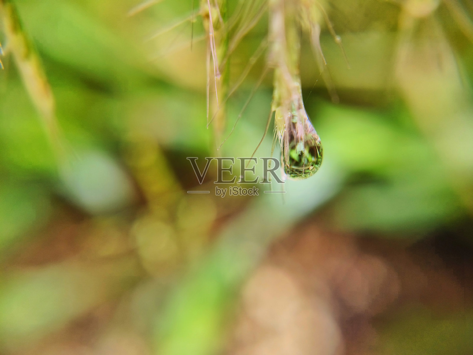 水滴照片摄影图片