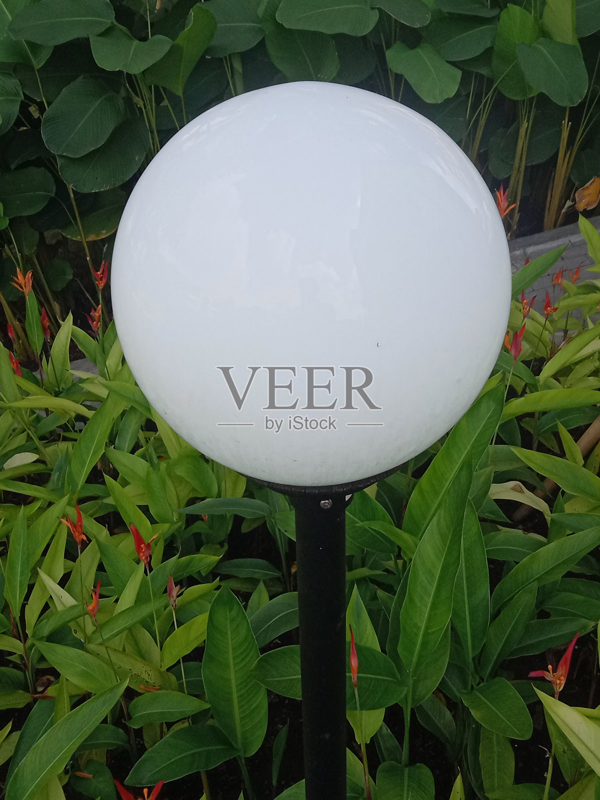 白色球形花园灯装饰照片摄影图片