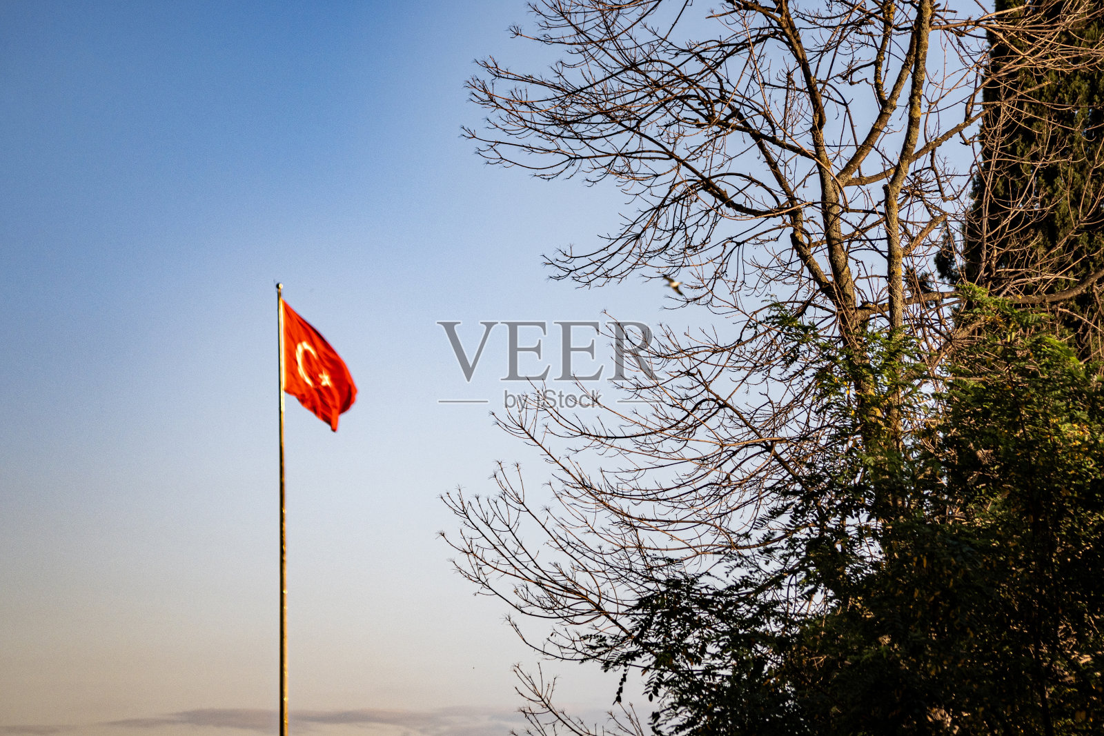 土耳其国旗在有风的天气到日落时间照片摄影图片