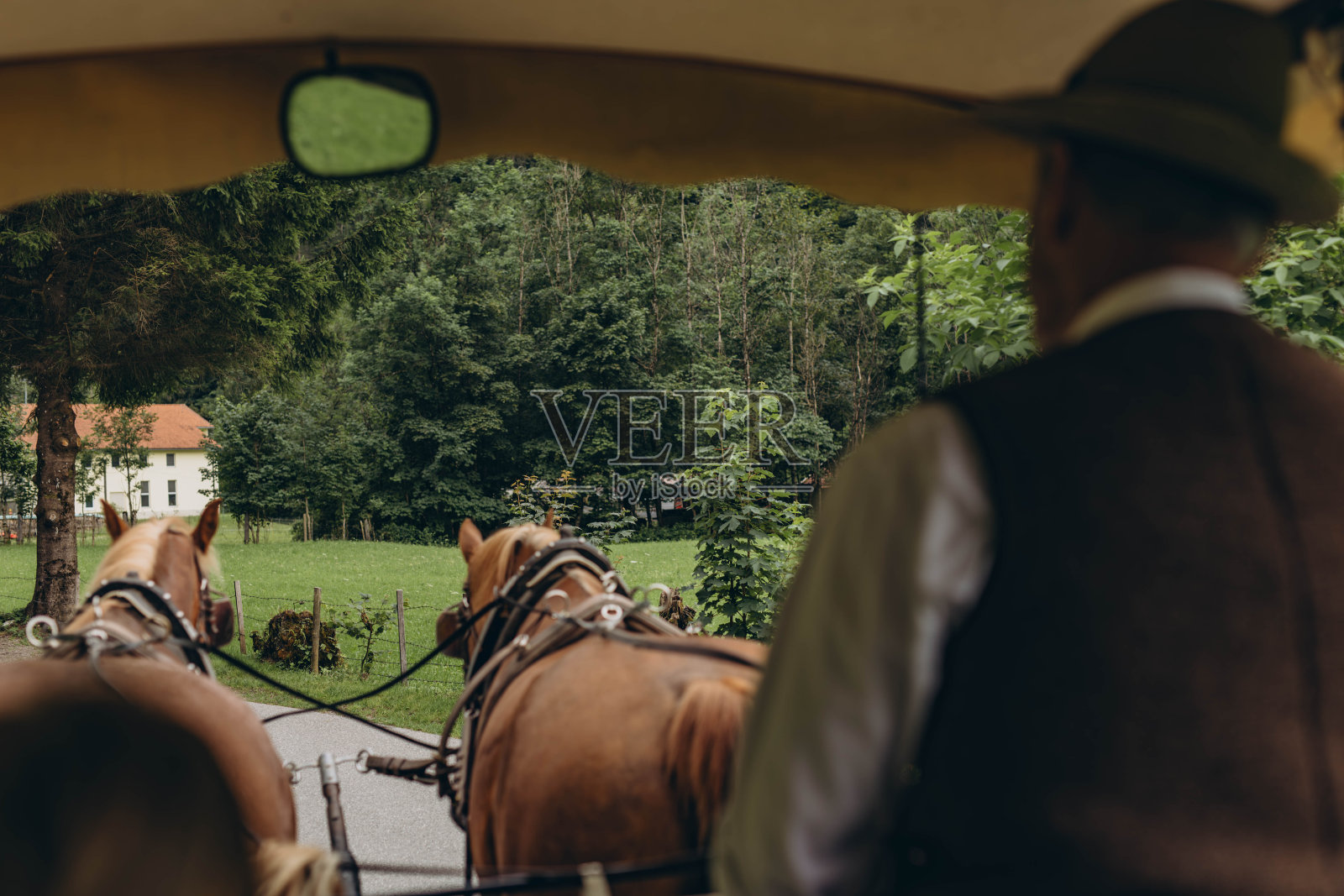 有马的旅游马车载着人照片摄影图片