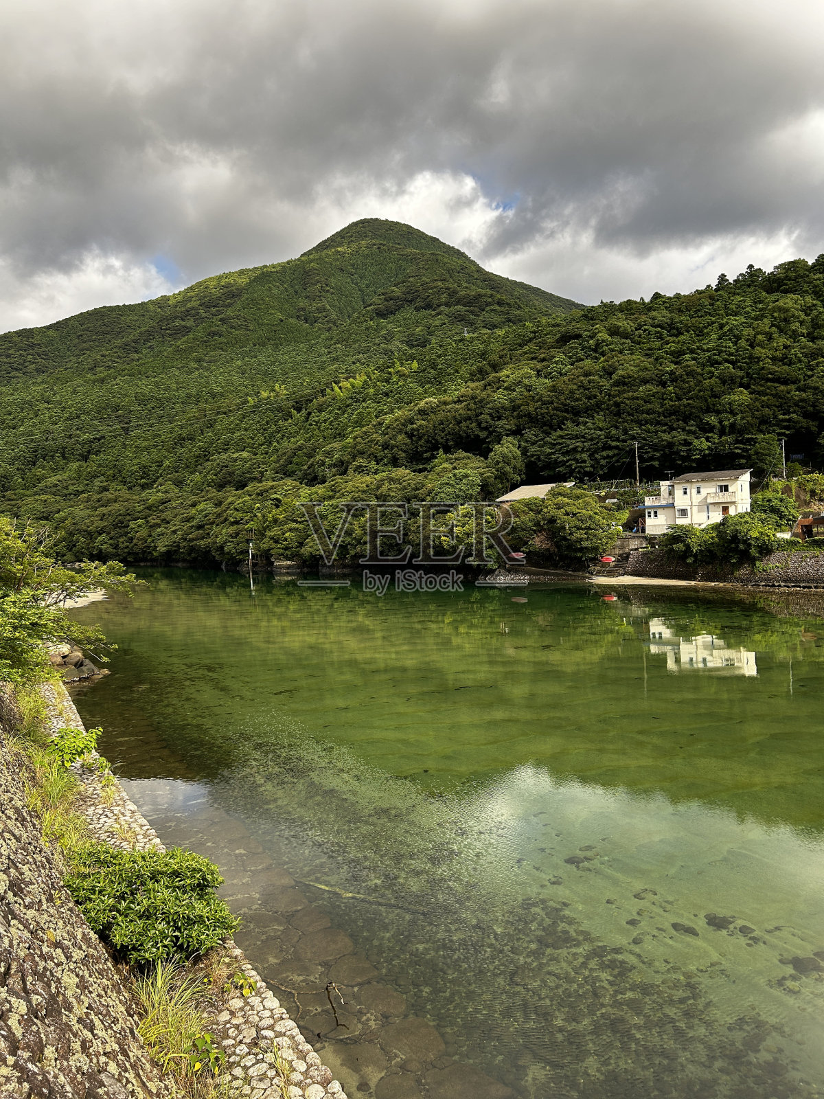 屋久岛是世界遗产，位于日本九州鹿儿岛县，拥有1000多年的屋久杉树，原始的海滩和日本最好的海龟筑巢地。照片摄影图片
