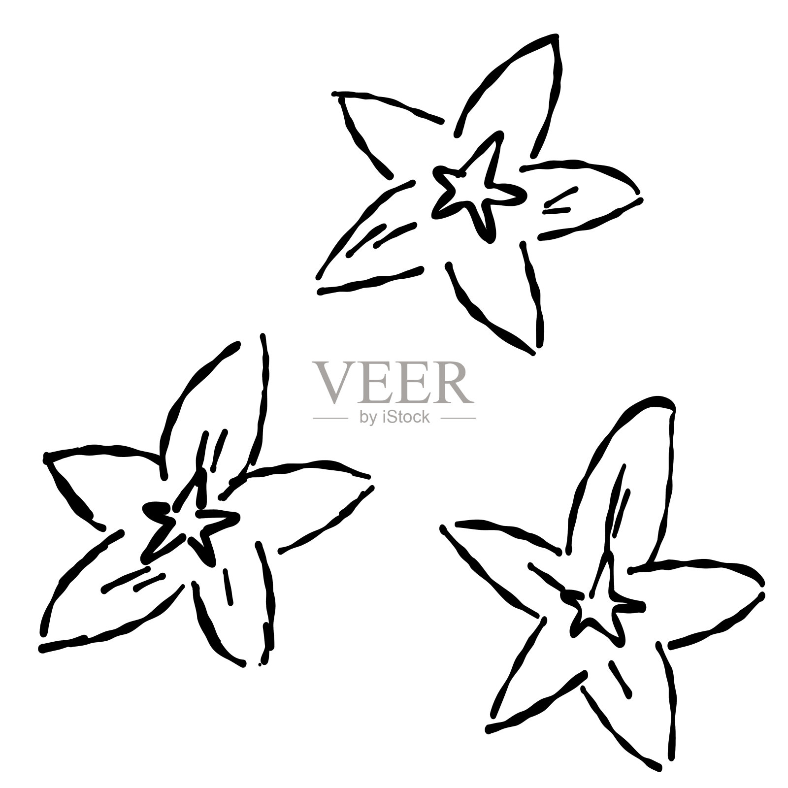 风铃花的线条图。插画图片素材