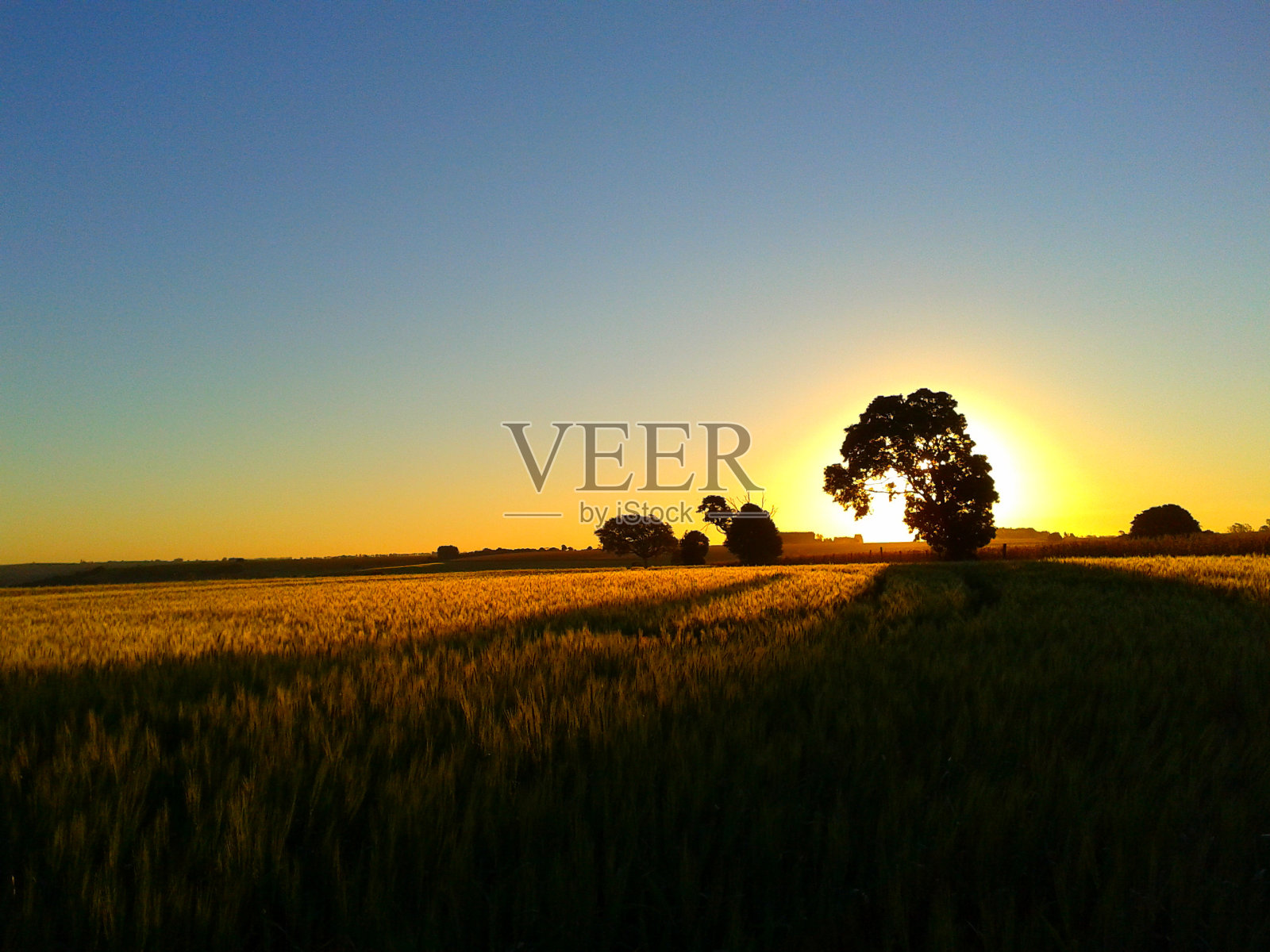 黎明照片摄影图片