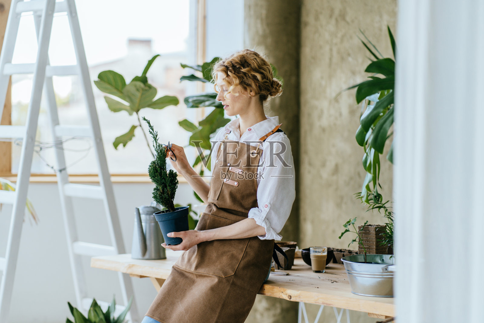 金发卷发的女园丁家庭主妇，系着围裙，在家里用园艺剪刀剪树。照片摄影图片