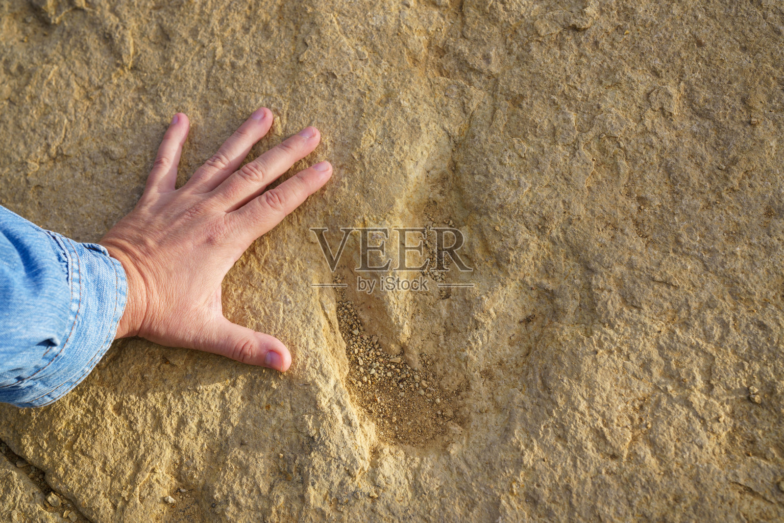 比较人类的手和化石足迹或岩石上的化石，三趾动物的足迹照片摄影图片