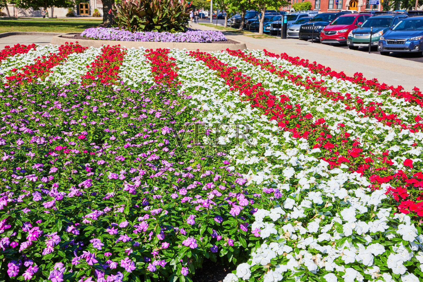 色彩缤纷的美国城市花坛与城市背景，行人的看法照片摄影图片