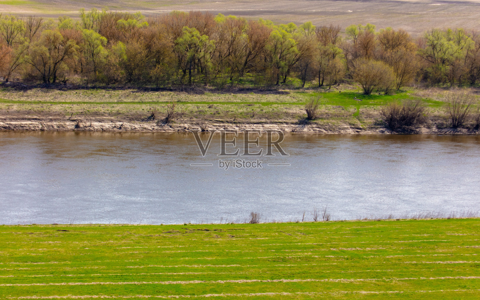 春天的景观有河流和森林。森林里的早春照片摄影图片