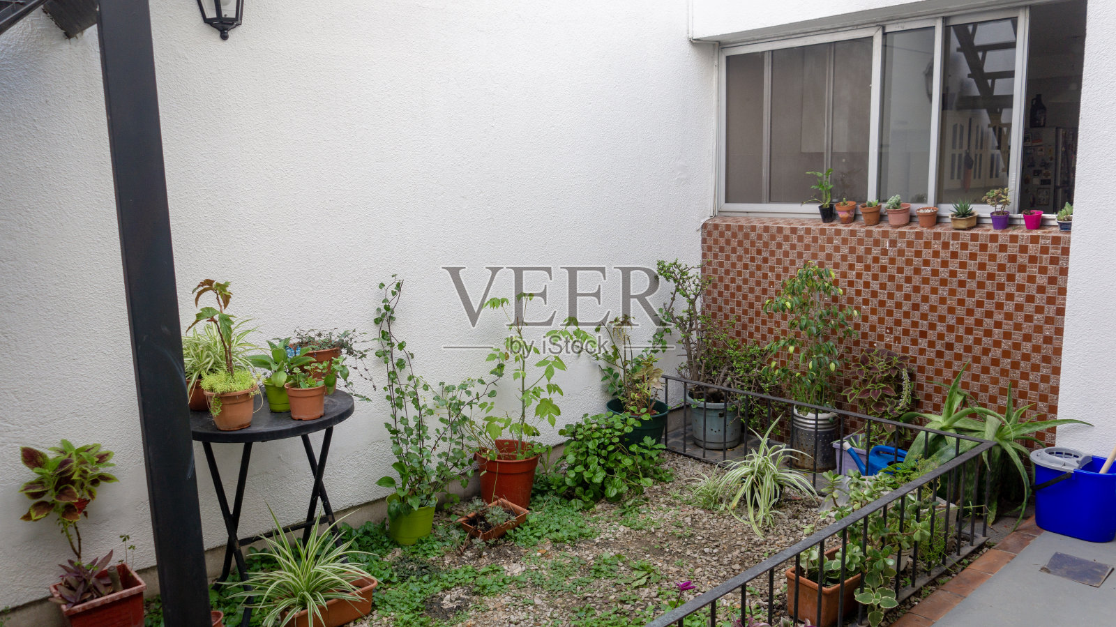 现代房子里的小花园照片摄影图片