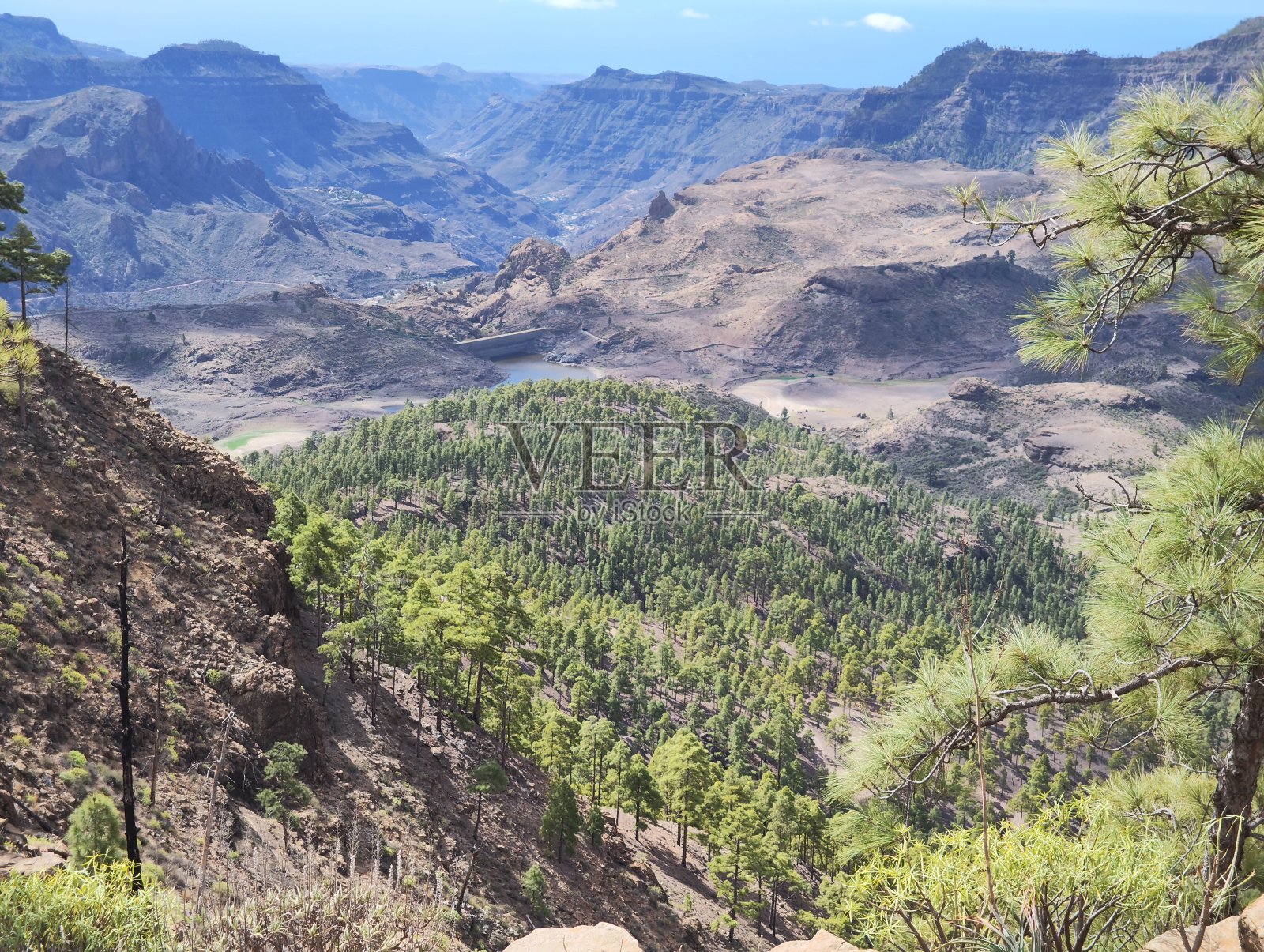 大加那利岛的自然公园照片摄影图片