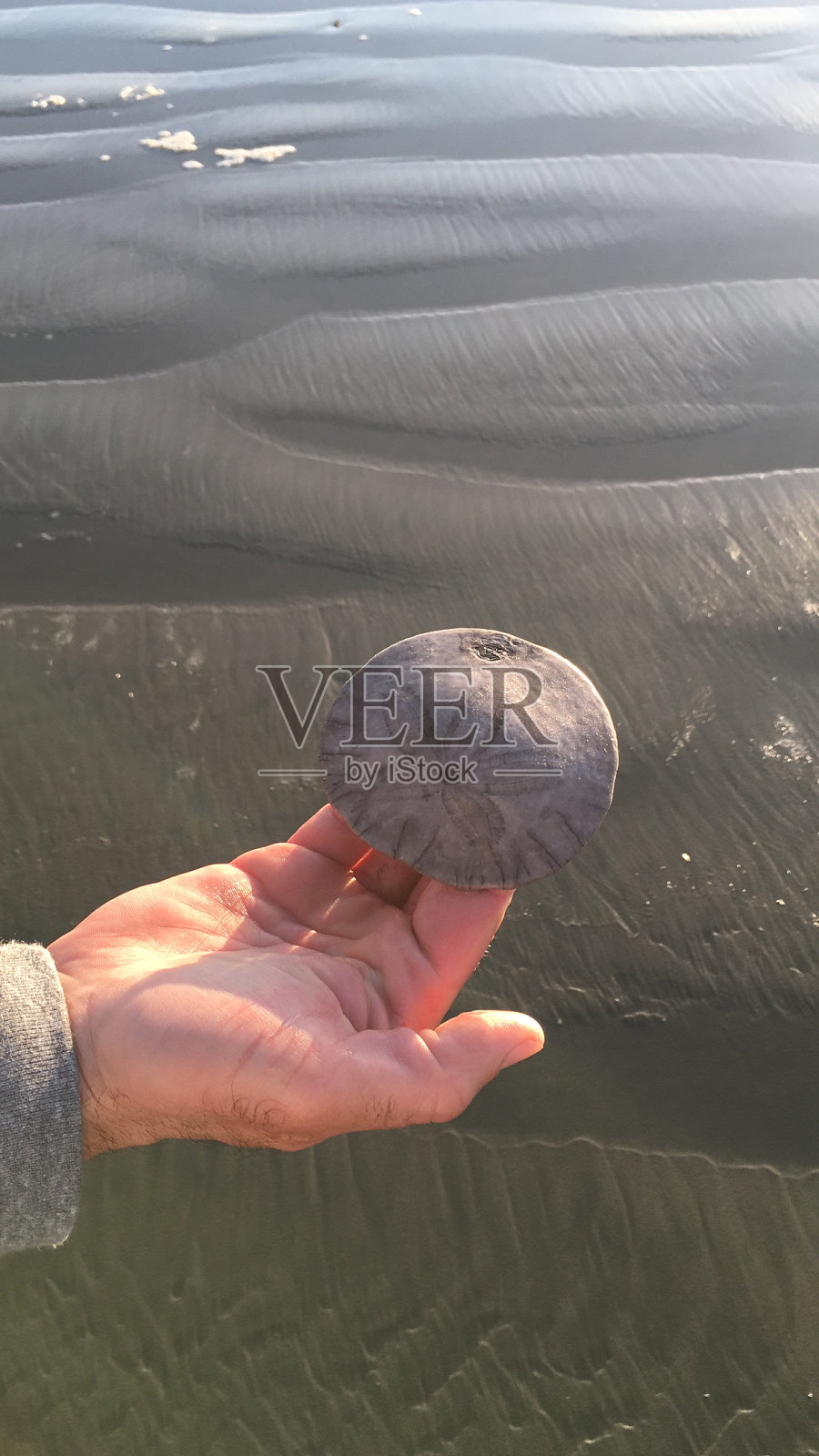 不列颠哥伦比亚省托菲诺度假照片摄影图片