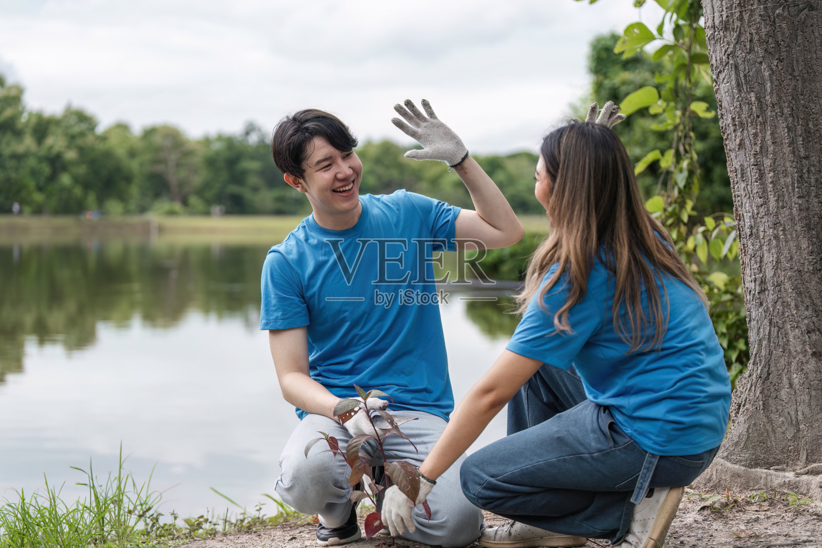 志愿者在湖边植树，在自然公园里击掌庆祝成功照片摄影图片