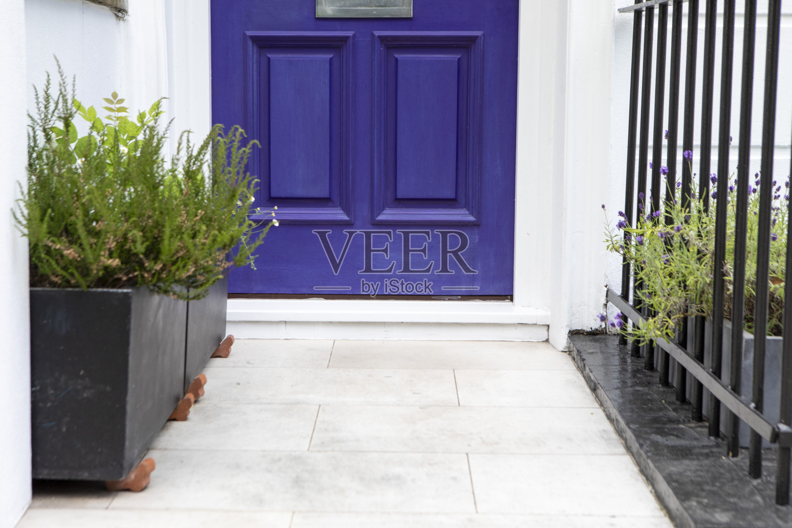 小路和一扇紫色的外门照片摄影图片