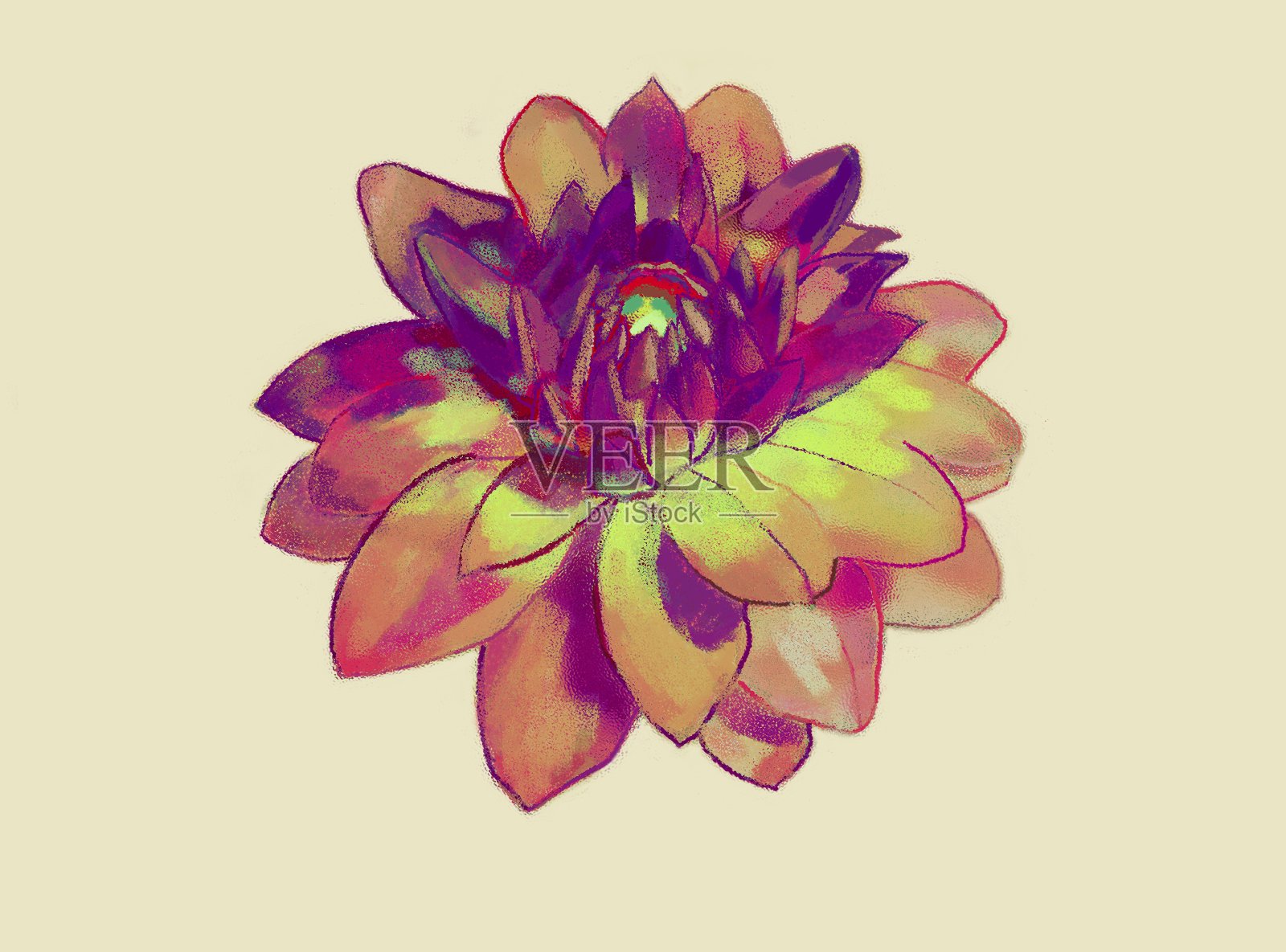 表现主义风格的花蕾插画图片素材