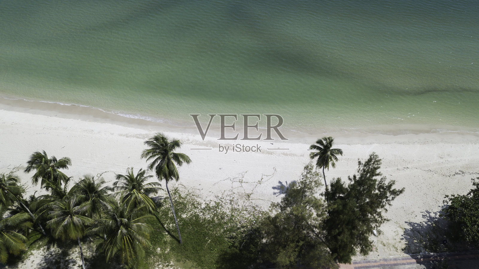 美丽的热带海滩，白色的沙滩，棕榈树，蓝绿色的海洋，蓝天白云，阳光明媚的夏日。照片摄影图片