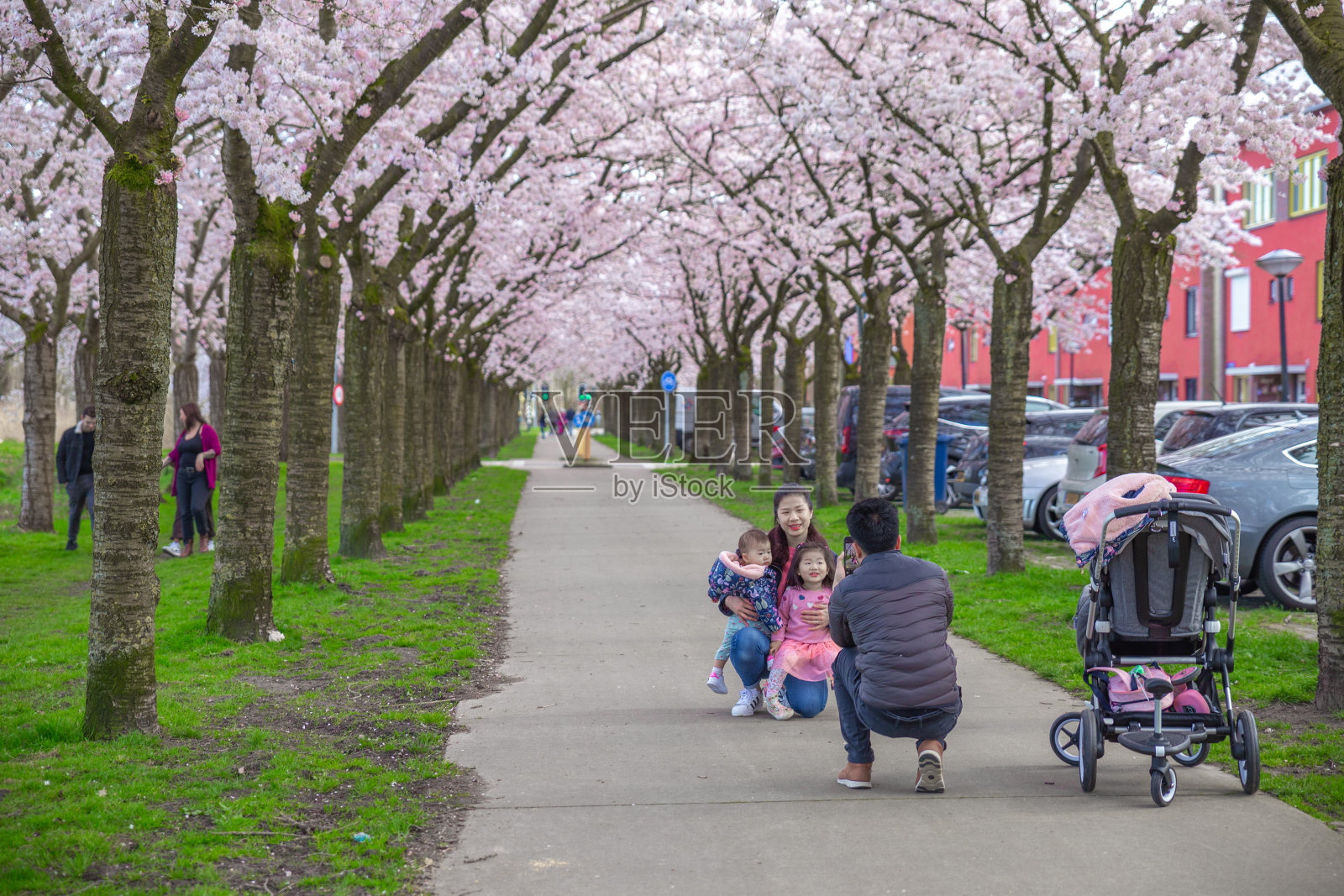 亚洲家庭在春天与樱花合影照片摄影图片