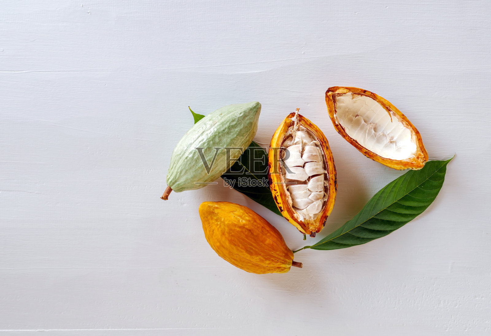 半截成熟的黄色可可豆荚与白色的可可籽，切成半新鲜成熟的可可和绿色生可可果在白色的木制背景照片摄影图片
