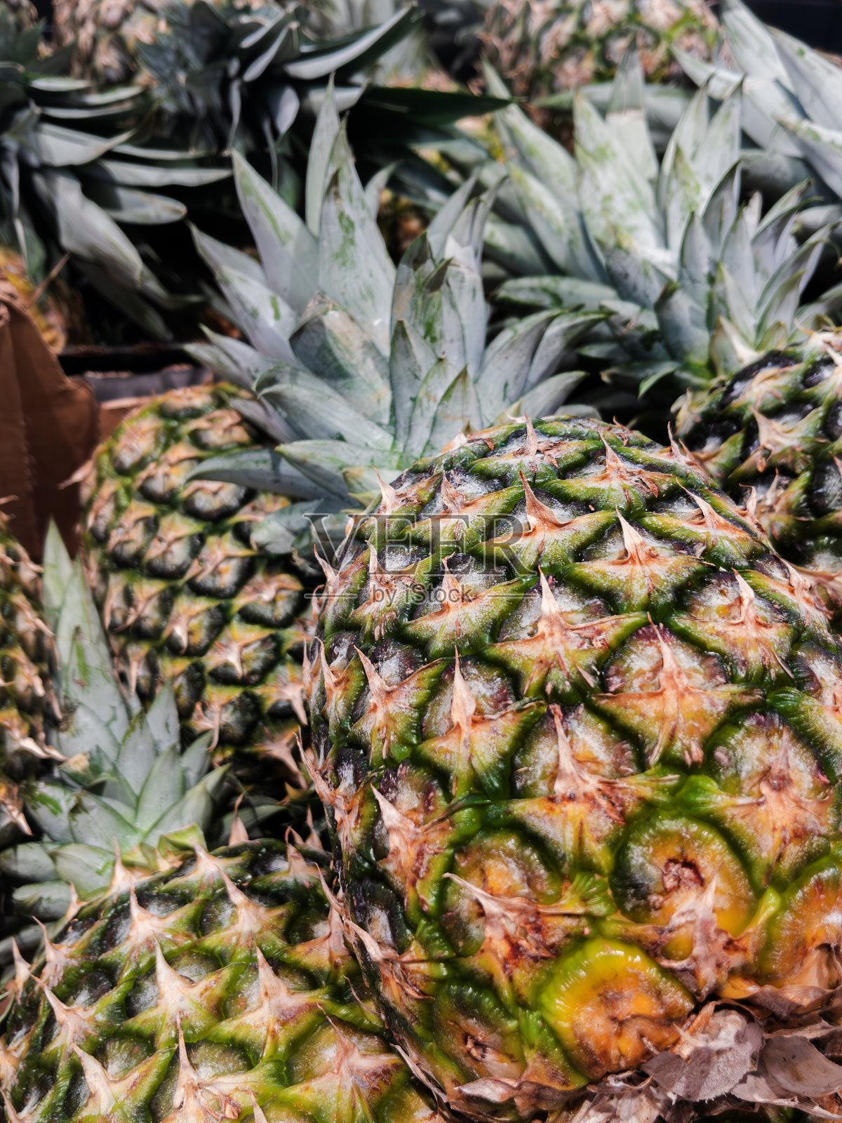 新鲜菠萝陈列在市场上照片摄影图片