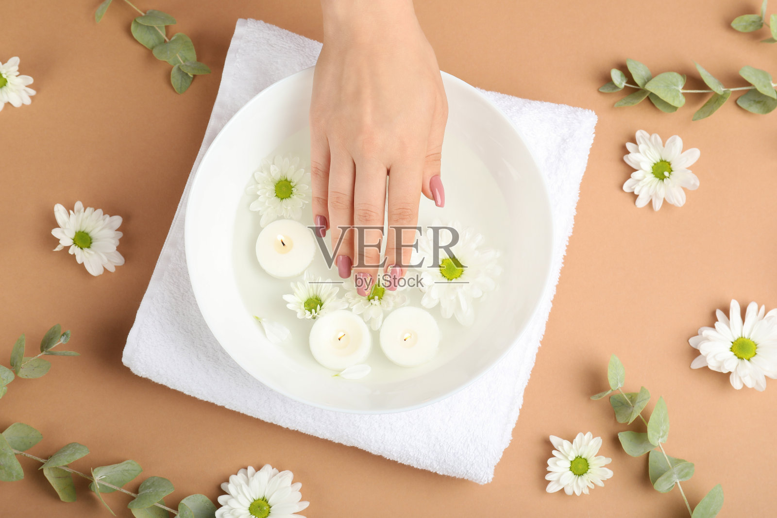 概念的手护理米色的背景与鲜花照片摄影图片