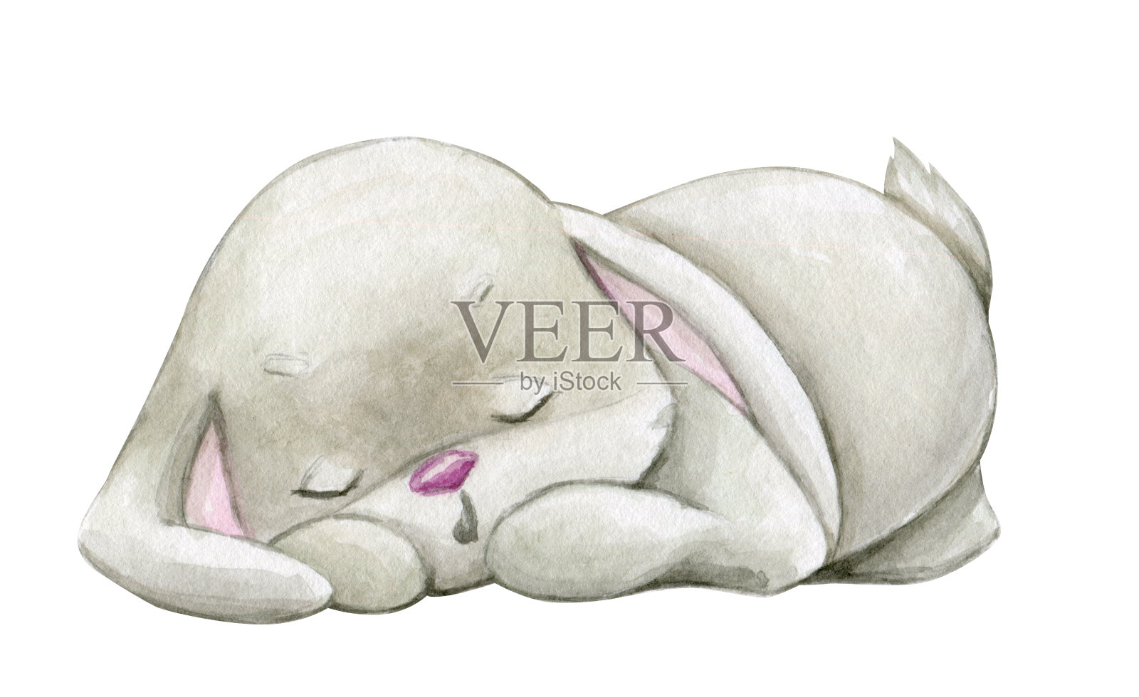 兔子睡觉水彩插图插画图片素材