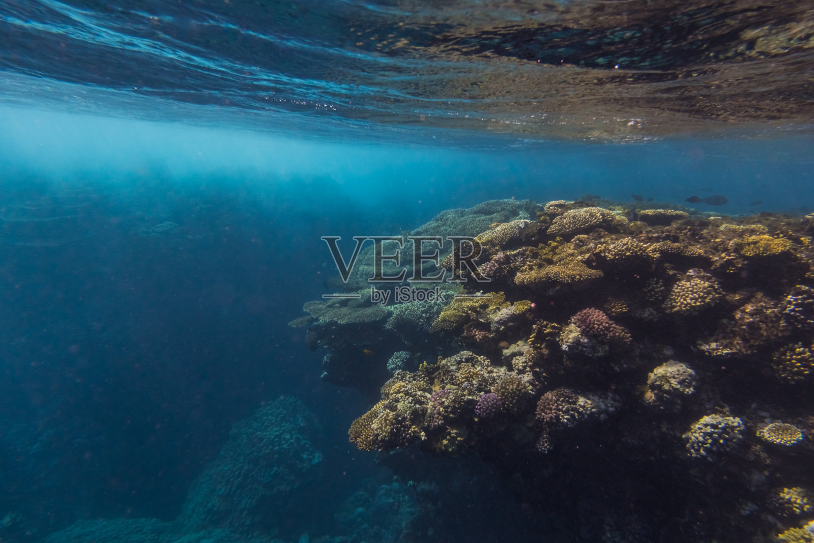 泡沫的水，由于强大的海浪在彩色的珊瑚礁照片摄影图片